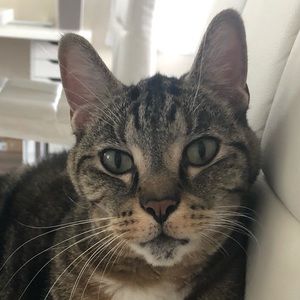 Meet your Posher, Nana